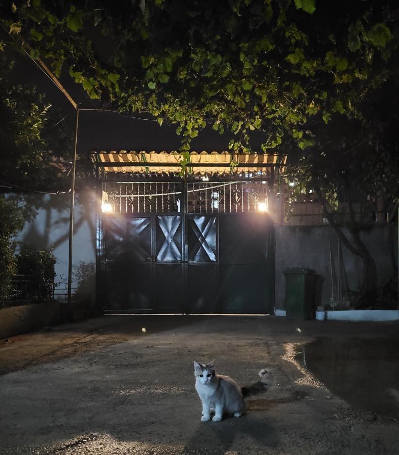 Unique Traditional House, Hosted By J&G Tiranë Ngoại thất bức ảnh