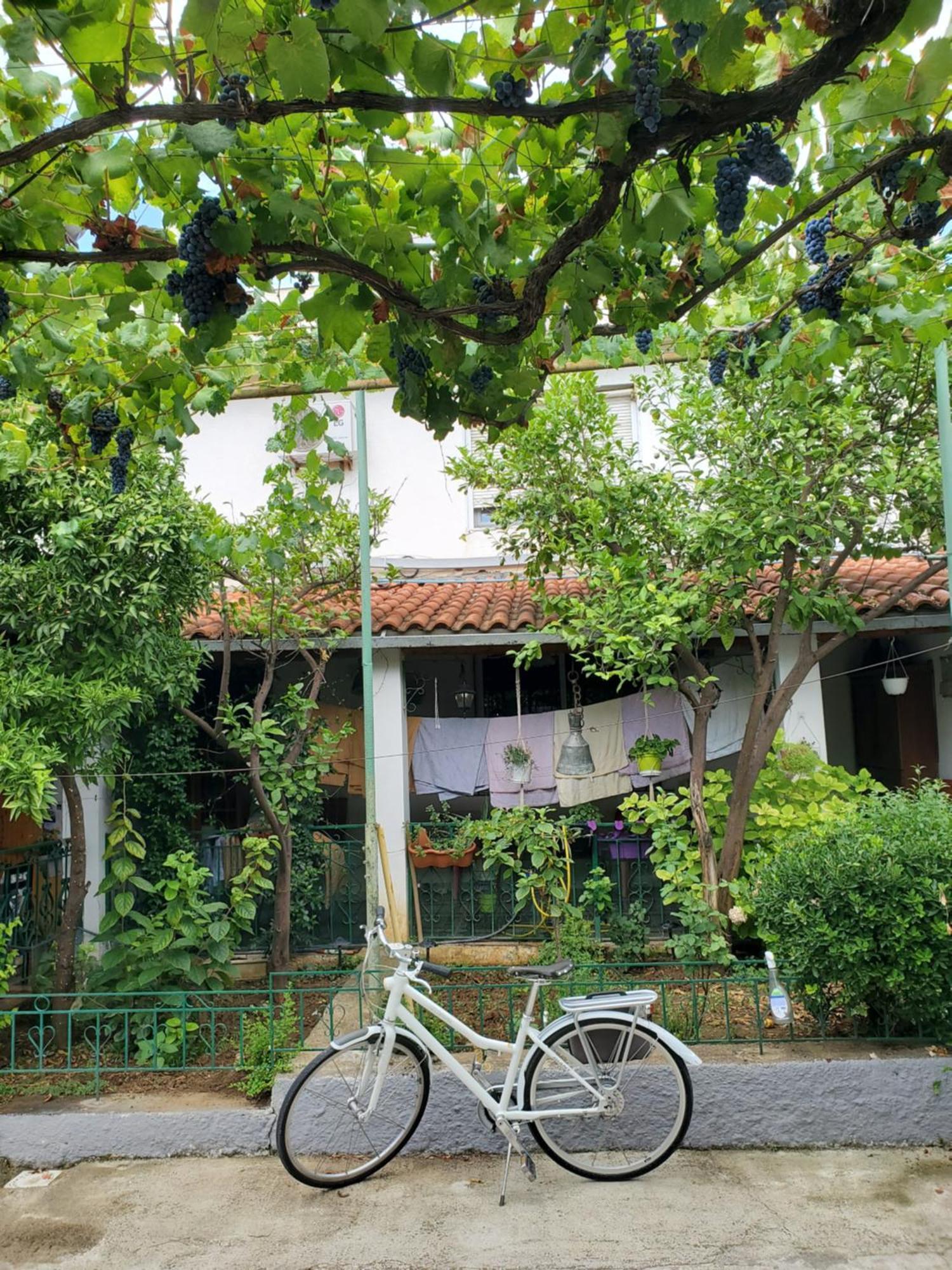 Unique Traditional House, Hosted By J&G Tiranë Ngoại thất bức ảnh