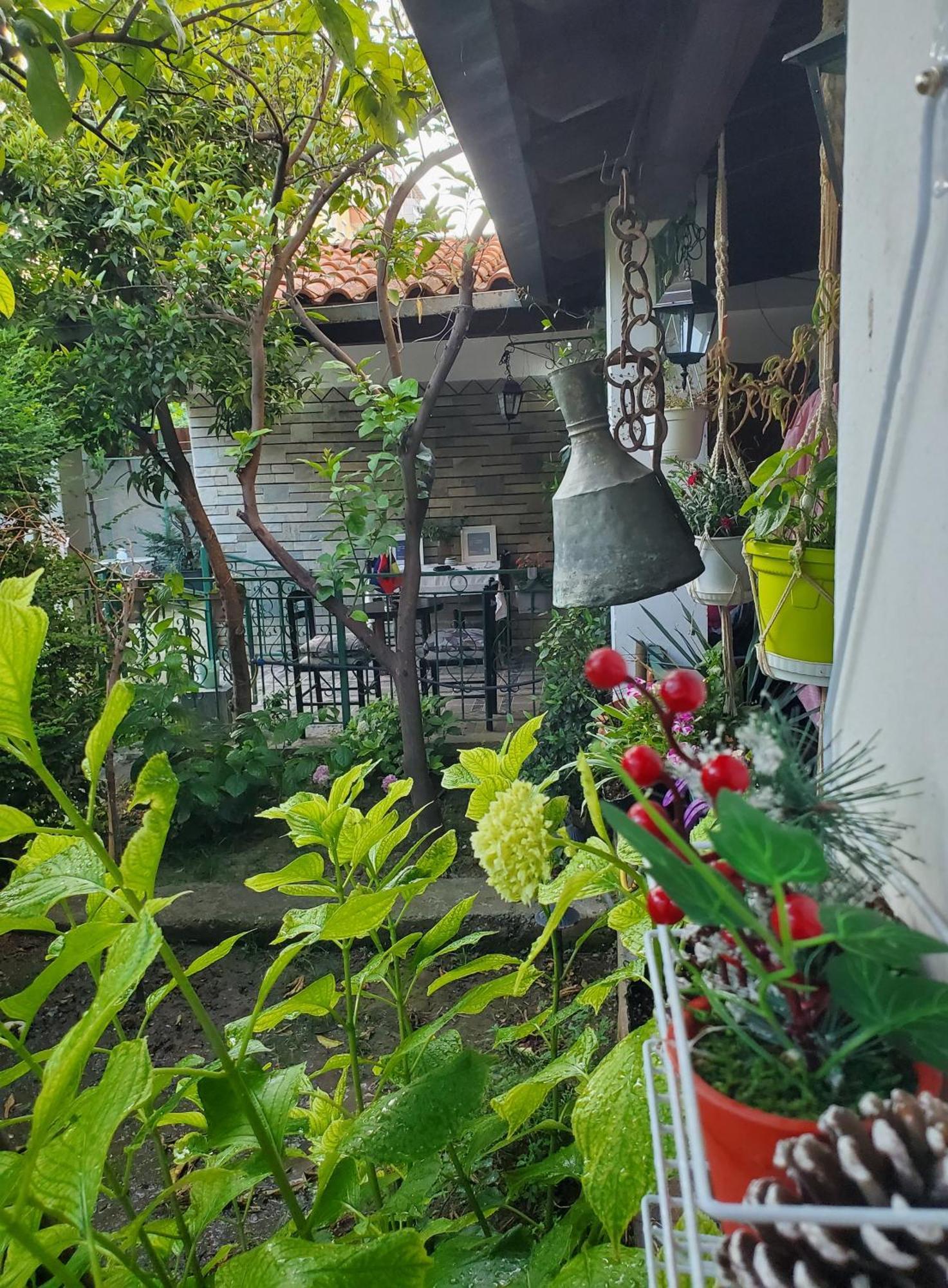 Unique Traditional House, Hosted By J&G Tiranë Ngoại thất bức ảnh